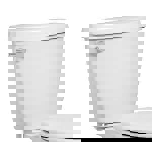 CCY 1.28 GPF 10 TANK *BRAD WHIT